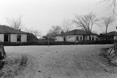 ARH NL Dierssen 1350/0011, Straße, Phylikaskron?, 1956