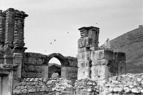 ARH NL Dierssen 1351/0015, Ruinen, Philippi, 1956