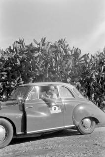 ARH NL Dierssen 1362/0002, Tour d'Europe: Kakteenwald, Portugal, 1956