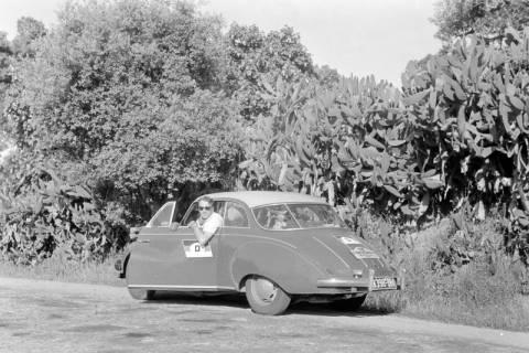 ARH NL Dierssen 1362/0003, Tour d'Europe: Kakteenwald, Portugal, 1956