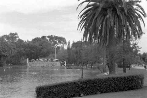 ARH NL Dierssen 1362/0008, Tour d'Europe: In einem Park, Lissabon, 1956