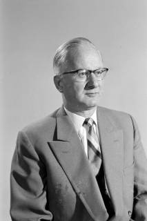 ARH NL Dierssen 1364/0029, Passbild Morgenrot (Deutsche Partei), Hannover, 1956