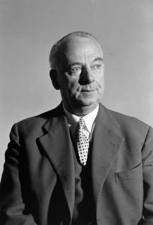 ARH NL Dierssen 1366/0021, Passbild Bösel (Deutsche Partei), Hannover, 1956