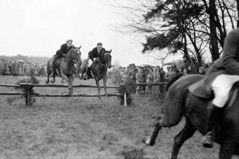ARH NL Dierssen 1369/0017, Hubertus-Jagd mit Niedersachsen-Meute, Neuhaus im Solling, 1956