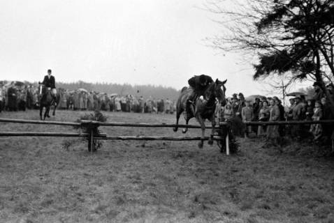 ARH NL Dierssen 1369/0018, Hubertus-Jagd mit Niedersachsen-Meute, Neuhaus im Solling, 1956