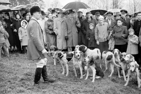ARH NL Dierssen 1369/0021, Hubertus-Jagd mit Niedersachsen-Meute, Neuhaus im Solling, 1956