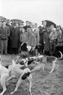 ARH NL Dierssen 1369/0025, Hubertus-Jagd mit Niedersachsen-Meute, Neuhaus im Solling, 1956