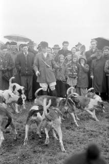 ARH NL Dierssen 1369/0029, Hubertus-Jagd mit Niedersachsen-Meute, Neuhaus im Solling, 1956
