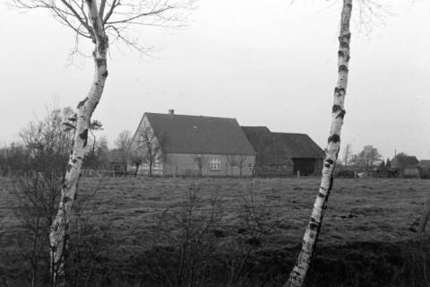 ARH NL Dierssen 1378/0014, Mordhaus Janssen, Hiddigwardermoor, 1957