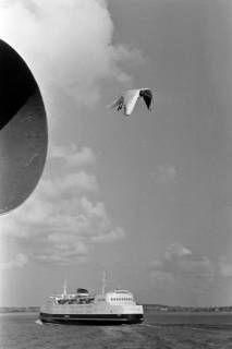 ARH NL Dierssen 1385/0025, Möwen, Kopenhagen, 1957