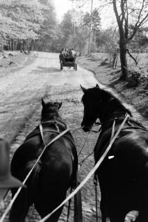 ARH NL Dierssen 1390/0019, Kutschfahrt Landespresse-Konferenz, Wilsede, 1957
