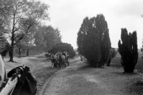 ARH NL Dierssen 1390/0022, Kutschfahrt Landespresse-Konferenz, Wilsede, 1957
