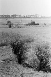 ARH NL Dierssen 1394/0007, Heuernte vor dem Deich, Rechtenfleth, 1957