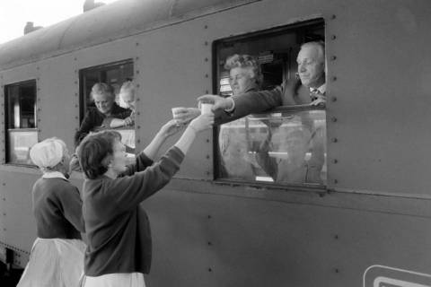 ARH NL Dierssen 1490/0005, DRK betreut Rentner aus der DDR am Zug, Hannover, 1965
