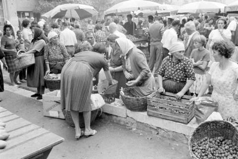 ARH NL Dierssen 1503/0020, Markt, Korcula, 1965