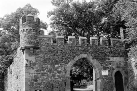 ARH NL Dierssen 1542/0012, Burg Staufenberg, 1966