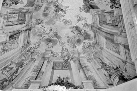 ARH NL Dierssen 1543/0014, Decke der Orangerie, Fulda, 1966
