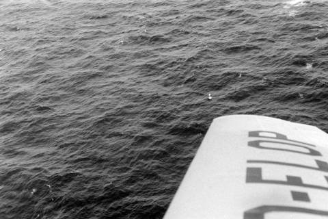 ARH NL Dierssen 1548/0004, Bergungsarbeiten nach dem Untergang des U-Bootes "U Hai", Nordsee, 1966
