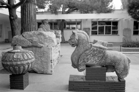 ARH NL Dierssen 1559/0015, Außenbereich des Ephesos-Museum Selçuk, 1967