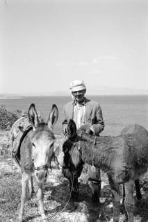ARH NL Dierssen 1566/0012, Bauer mit Eseln, Çesme, 1967