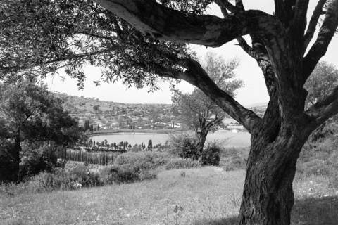 ARH NL Dierssen 1566/0021, Landschaft bei Çesme, 1967