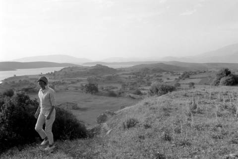 ARH NL Dierssen 1567/0018, Landschaft bei Sifne, 1967