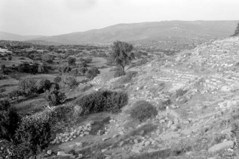 ARH NL Dierssen 1567/0019, Landschaft bei Sifne, 1967