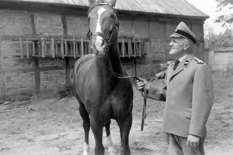 ARH NL Dierssen 1601/0007, Gestütswärter Soetbeer, Celle, 1968