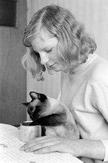 ARH NL Dierssen 1609/0003, Katze frisst mit Pfote, Alfeld, zwischen 1968/1969