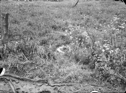 ARH NL Dierssen G 44, Spuren nach einer Schießerei mit tödlichem Ausgang, Hüpede, 1949