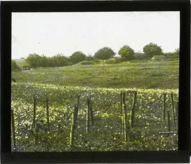 ARH NL Kageler 105, 1. Weltkrieg, Artilleriestellung, Mailly, Frankreich, zwischen 1914/1918
