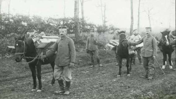 ARH NL Kageler 108, 1. Weltkrieg, Pferde als Tragetier, Priesterwald (Bois-le-Prêtre), Frankreich, zwischen 1914/1918