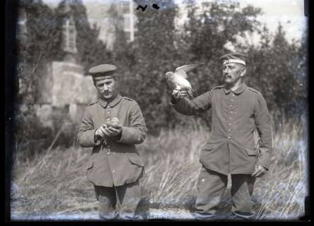 ARH NL Kageler 221, 1. Weltkrieg, Brieftauben in Mailly, Frankreich, zwischen 1914/1918
