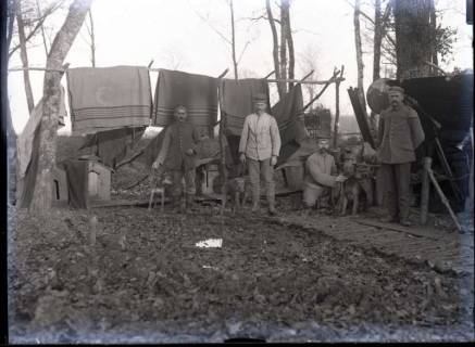 ARH NL Kageler 293, 1. Weltkrieg, Diensthunde, Frankreich, zwischen 1914/1918