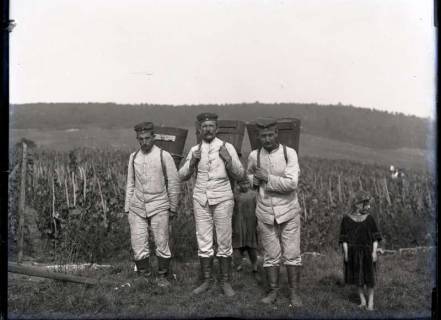 ARH NL Kageler 309, 1. Weltkrieg, Soldaten bei der Weinlese in Ars-sur-Moselle, Frankreich, zwischen 1914/1918