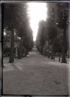 ARH NL Kageler 524, Kurpark?, Weg zur Wilhelmshöhe?, Kassel, vor 1914