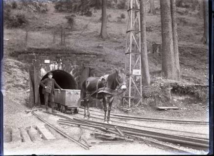 ARH NL Kageler 536, Bergwerksanlage, Schierke, 1913