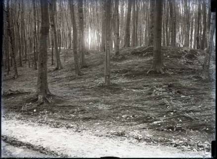 ARH NL Kageler 790, Hügelgrab, Benther-Berg, 1940
