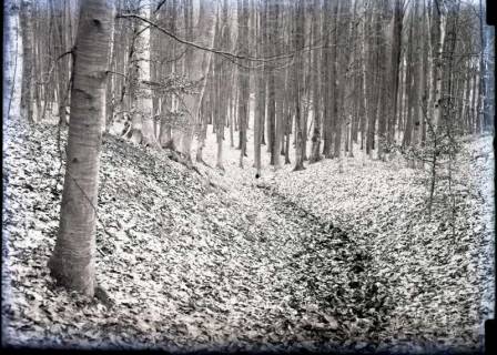 ARH NL Kageler 791, Talbildung durch Erosion, Erosionstal, Gehrdener Berg, 1940
