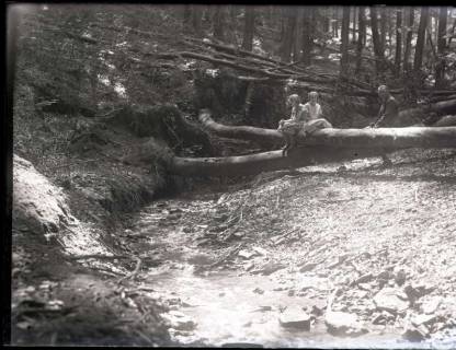 ARH NL Kageler 1108, Wildbach, Osterwald, ohne Datum