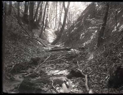 ARH NL Kageler 1109, Wildbach, Osterwald, ohne Datum