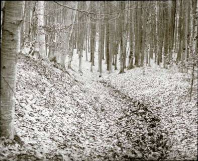 ARH NL Kageler 1295, Talbildung durch Erosion, Erosionstal, Gehrdener Berg, 1940