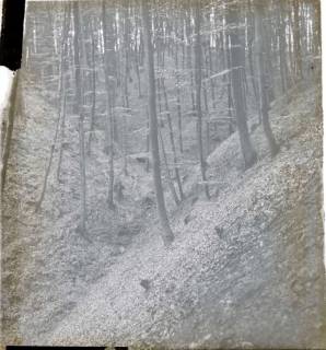 ARH NL Kageler 1504, Erosionstal, Deister, ohne Datum