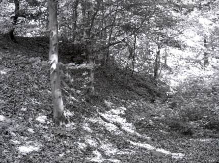ARH NL Kageler 2542, Ringwall auf dem Gehrdener Berg, 1940