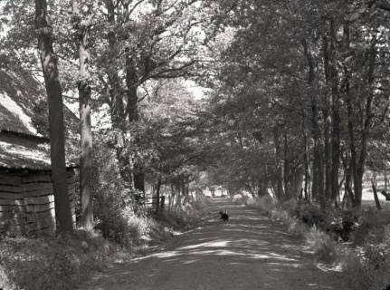 ARH NL Kageler 2863, Dorfstraße, Heitlingen, 1940