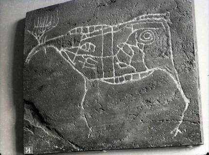 ARH NL Kageler 3072, Steinplatte mit Felszeichnung, Hannover, 1941
