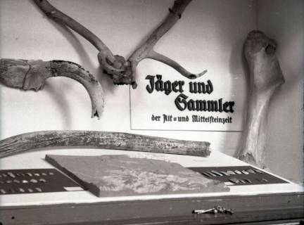 ARH NL Kageler 3083, Exponate in der Abteilung "Jäger und Sammler der Alt- und Mittelsteinzeit" im Landesmuseum, Hannover, 1941