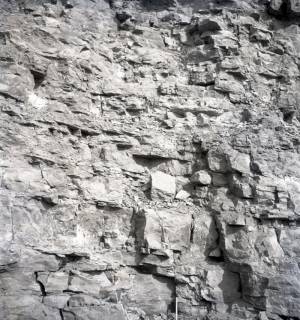 ARH NL Kageler 3160, Brauner Jura am Stemmer Berg, 1952