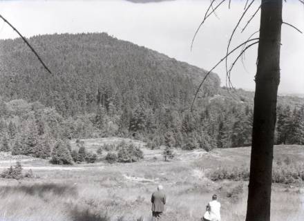 ARH NL Kageler 3266, Blick auf einen bewaldeten Hügel, ohne Datum