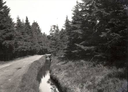 ARH NL Kageler 3269, Wanderung mit einer Schulklasse zum Brocken, Wernigerode, ohne Datum